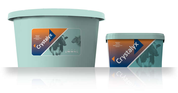 CRYSTALYX Organyx Garlyx (Mint)